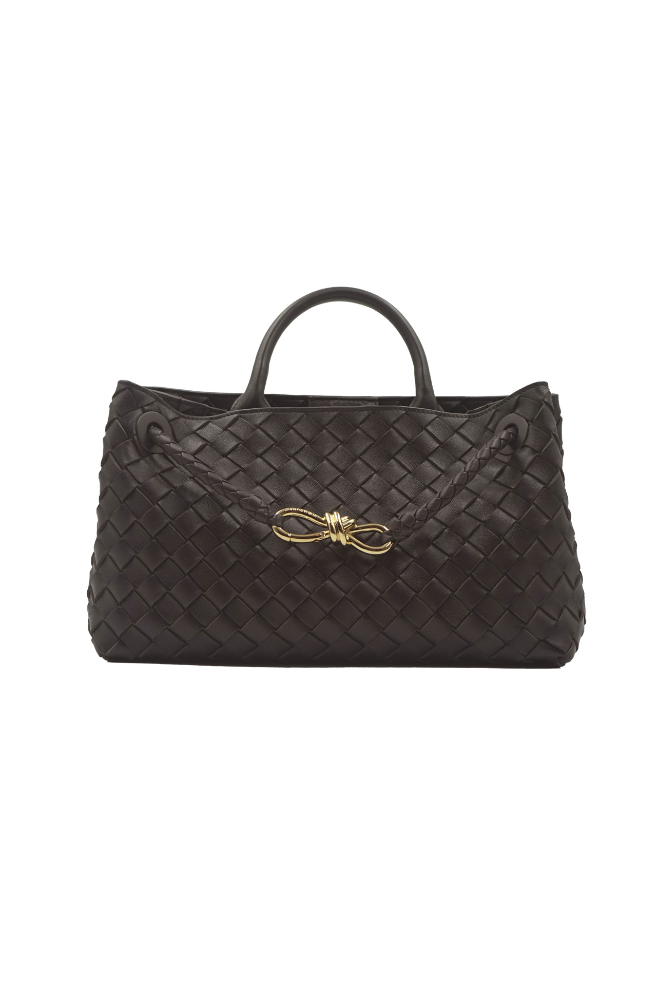Bottega Veneta Medium Andiamo Bag- Preowned